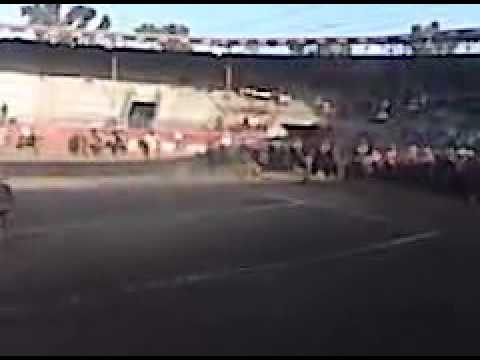 cala de caballo gustavo santos mejor cala parte de 19 metros marro hrose reining