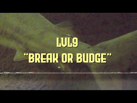 LVL9 - Break or Budge