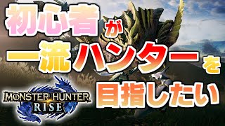 【生配信】ぶった切られたので続きです。【MONSTER HUNTER RISE】