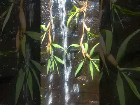 en la tercera  cascada  del río chamulapa en tonacatepeque El salvador