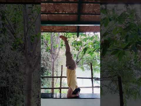 balance between body and mind if you find so you are achieve your life goal#yoga #dance #motivation