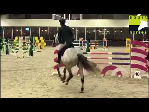 Holstein | Cardino | Claudio’s son