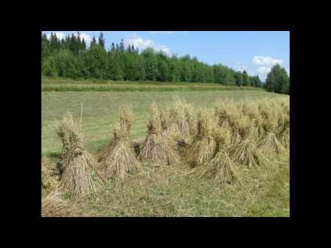 Ewa Kowalczyk - Trzy fragmenty z poematów Jana Kasprowicza - III - Moja pieśń wieczorna