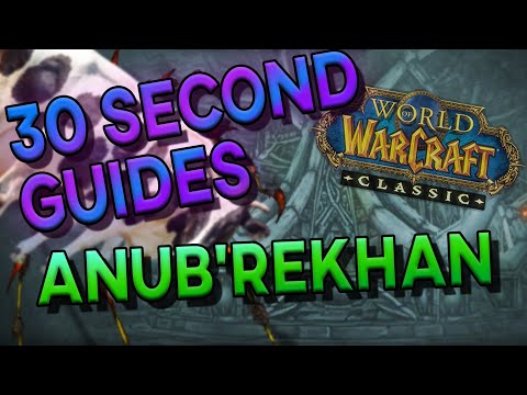 Anub'Rekhan - 30 Second Guides - Naxxramas