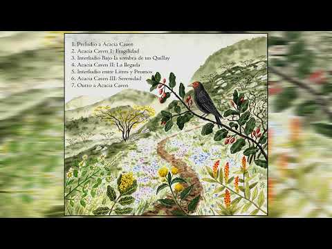 Imbaru - Acacia Caven (2021) (Full Album)