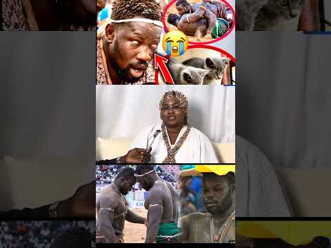 qui mo diokhé métal reug reug Mouss yimou khodj #luttesénégalaise #lamb
