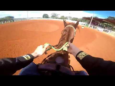 《Baker ta Fame》 Três Tambores Barrel Racing BSB{Gopro Hero 5}
