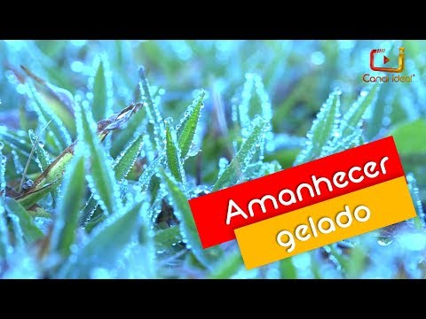 Xanxerê amanhece com fina camada de gelo sobre os campos