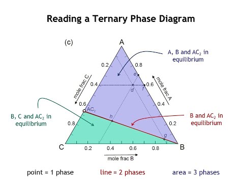 Lecture 21 Ternary Phase Diagrams