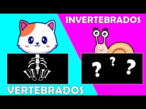ANIMALES VERTEBRADOS E INVERTEBRADOS para niños 🐸🦁🐘🐟🐌 Videos Educativos
