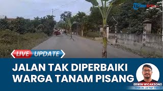 Aksi Warga Tanam Puluhan Pohon Pisang di Jalan Rusak sebagai Bentuk Protes: Bahayakan Pengguna Jalan