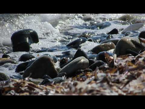 LITTLE HUNTERS BEACH • Pebble Beach  • 10H Ocean Waves