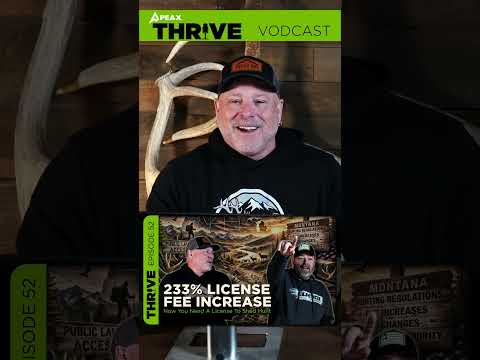 My Handlers Are Holding Me Down