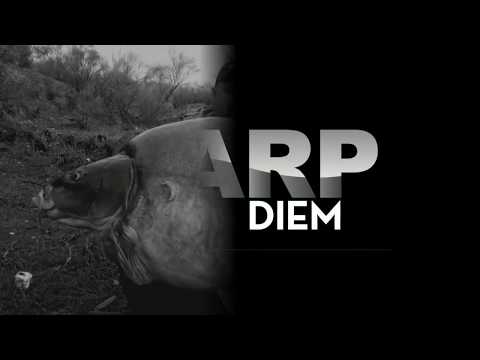 The Biggest CARP in Spain - Where do they live? The Top Lakes in Spain