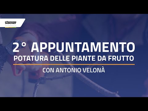 CORSO POTATURA FREE – PIANTE DA FRUTTO – LIVE 2
