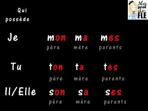 Les adjectifs possessifs en français (Théorie)