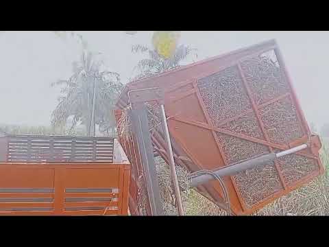 sugarcane loading......