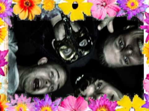 SRF - Leben ist schön (FlowBird, SeboKILL, Queroland, Barbee)