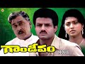 Gandeevam గాండీవం Telugu Full Movie A N R Nandamuri Balakrishna Roja TVNXT