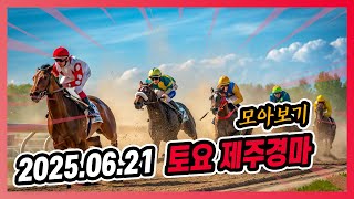 2025년 6월 21일 토요 제주경마 전체경주 모아보기