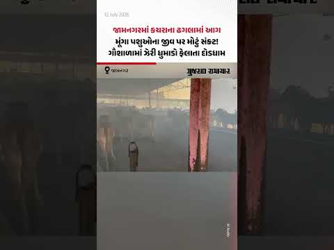 જામનગરમાં કચરાના ઢગલામાં આગ, મૂંગા પશુઓના જીવ પર મોટું સંકટ! ગૌશાળામાં ઝેરી ધુમાડો ફેલાતા દોડધામ જામનગરમાં કચરાના ઢગલામાં આગ, મૂંગા પશુઓના જીવ પર મોટું સંકટ! ગૌશાળામાં ઝેરી ધુમાડો ફેલાતા દોડધામ