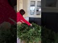 Level Up Your Tree