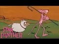 The Pink Panther In Little Beaux Pink