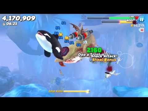 Daily Contest Mustache Live (New HighScore) - Hungry Shark World