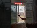 Mosquito Net Fitting How To Make Two Track Sliding Window Work Aluminium Workout Woodworking