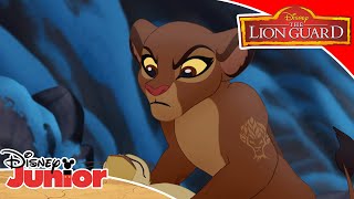 🌴 The Tree Of Life  The Lion Guard  Disney Kids