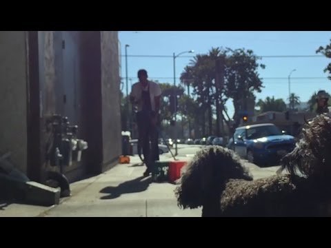 Sebastien Chenut - Baiser Froid