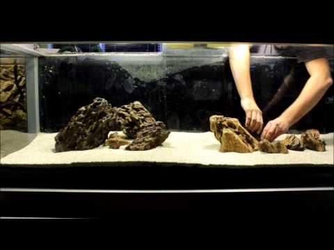 Aquascaping iwagumi style part.1