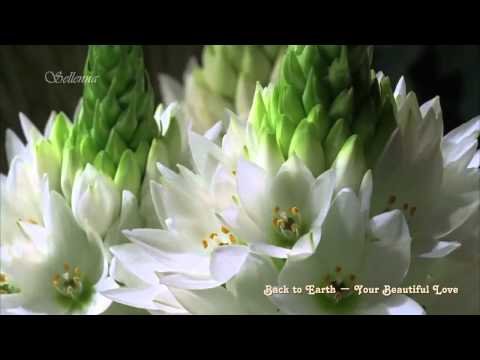 Back to Earth - Your Beautiful Love