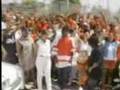 Bloods Shuda Beena B Dog