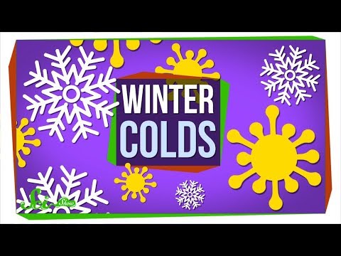 哈啾！天氣變冷又要感冒了！這究竟是為什麼呢？（Why Do We Get Colds When It's Cold?）