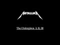 Metallica The Unforgiven I II III Non Stop Version