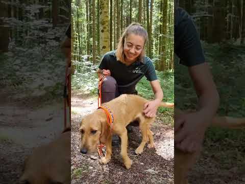 90 Sekunden mit Försterin Rebecca