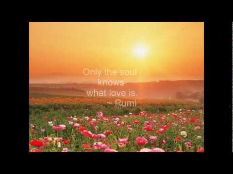 Rumi - Out beyond ideas...there is a field...