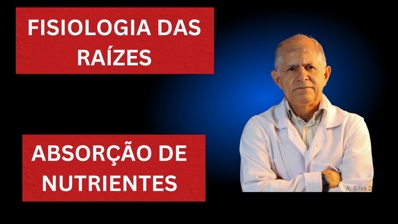 Fisiologia das Raízes - Absorção de Nutrientes