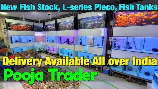 MIND-BLOWING Fish Stock Secrets Revealed at Pooja Trader!