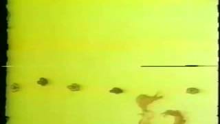 The Letter People TV 34 Review IV