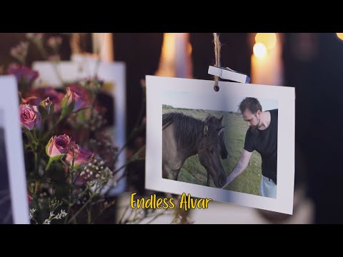 Vilsevind - Endless Alvar