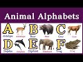 Animal Alphabet In The World Amazing Animals Alphabet ABC Alphabet A To Z Animals SriDharaniekids