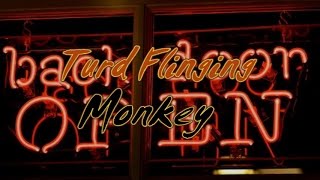 At The Back Door with Turd Flinging Monkey (interview)