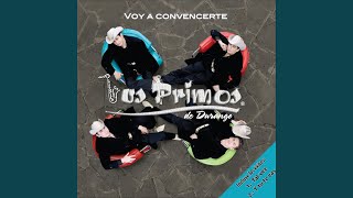 Voy A Convencerte Lyrics English Translation