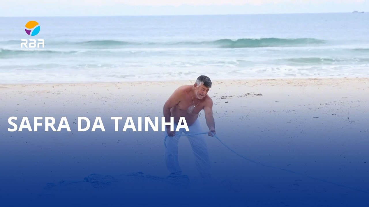 Safra da tainha. Temporada inicia nesta sexta-feira (01), no litoral catarinense