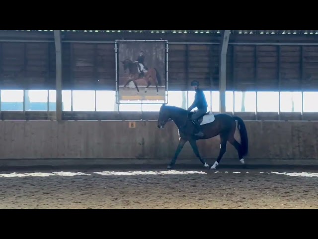 Riding movie Redbull Rinus van de Marshoeve