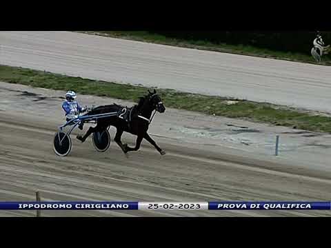 Aversa trotto 25 Febbraio 2023 - Prova di qualifica