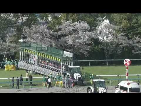 2023.04.09 Oka Sho (Japanese 1000 Guineas) - Liberty Island