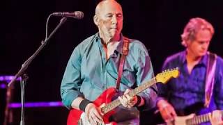 Mark Knopfler Gator Blood